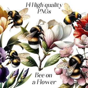 Aquarel bij op een bloem clipart, 14 hoge kwaliteit PNG-bestanden, bloemen clipart, clip art hommel, insecten clipart, natuur clipart