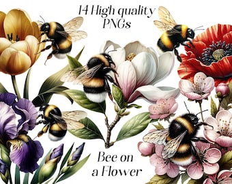 Op de afbeelding: Een digitale illustratie van 14 hoogwaardige PNG-afbeeldingen met bijen op bloemen. De bloemen omvatten een gele tulp, een witte magnolia, een rode klaproos en roze kersenbloesems. De bijen zijn zwart en geel met witte strepen. De tekst "Bee on a Flower" staat onderaan de afbeelding.