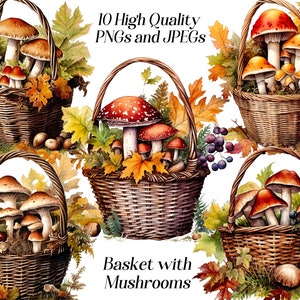 Watercolor Mushroom Basket Clipart: Forest Wall Art (JPEG, PNG)