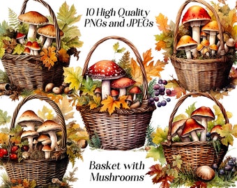 Watercolor basket with mushrooms clipart, 10 high quality JPEG and PNG files, woodlands clip art, forest wall art, card making, scrapbooking