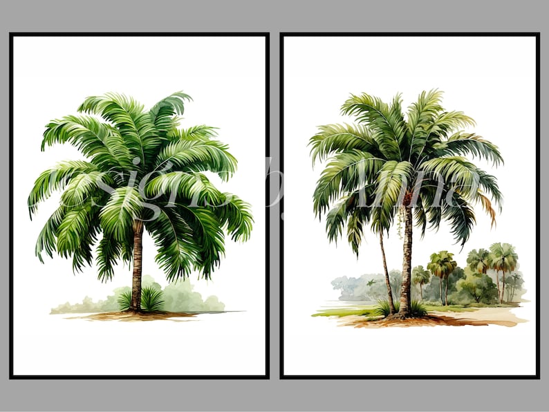 May include: Two watercolor paintings of palm trees. The first painting shows a single palm tree with lush green leaves against a white background. The second painting shows a group of palm trees with a more detailed background of a river and other trees.