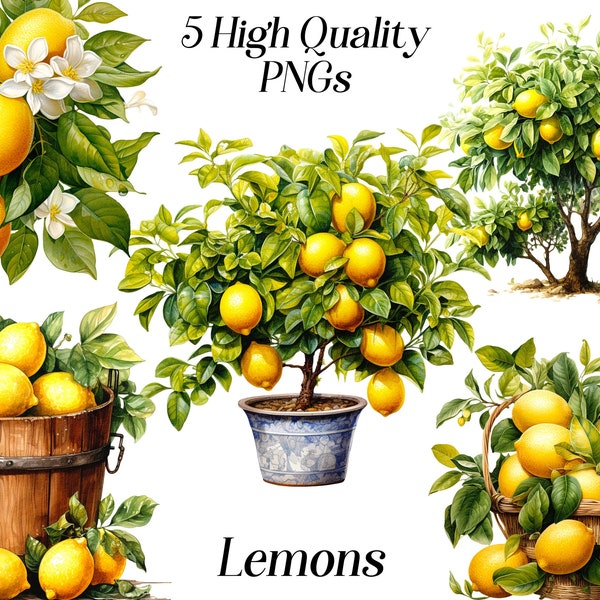 Watercolor Lemons clipart, 5 High quality PNGs, lemon tree, summer clip art, food clipart, printable wall art, printable graphics