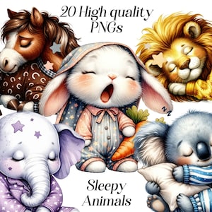 Schattige dieren clipart, slapende dieren, png, illustraties, slaperig, aquarel dieren, babydieren, kinderdagverblijf, digitaal, afdrukbaar, commercieel