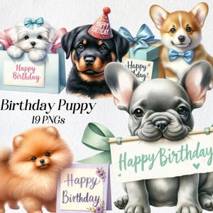 Geburtstags-Welpe Clipart - Süßer Hund Geburtstag PNG, Welpe mit Partyhut und Luftballons, festliche Tierkunst, Party-Welpe Illustration Set