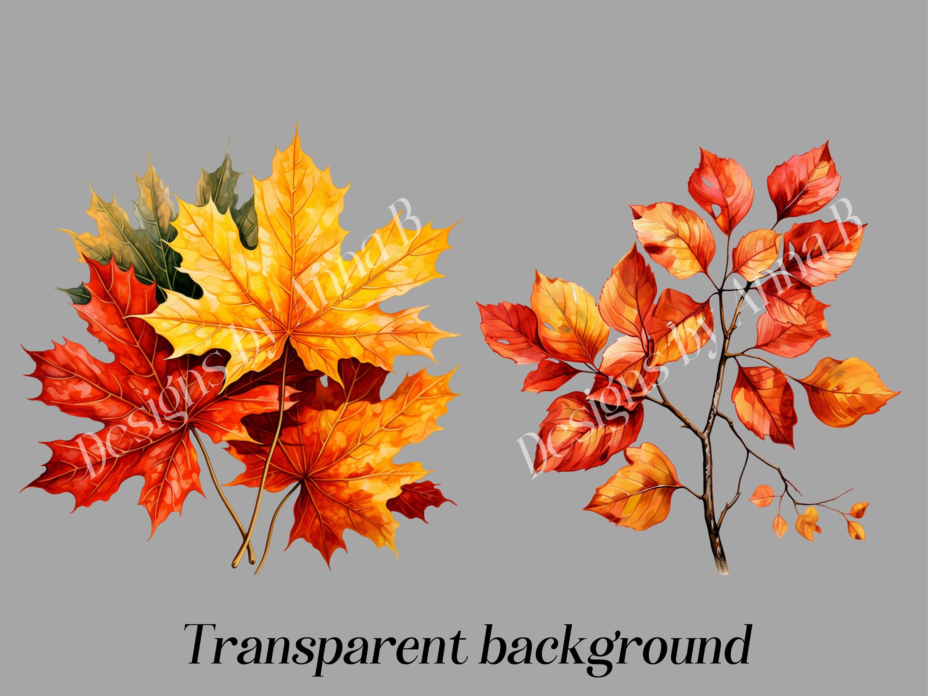 Autumn Leaves Clipart: Rustic Fall Foliage PNG (digital Download) - Etsy