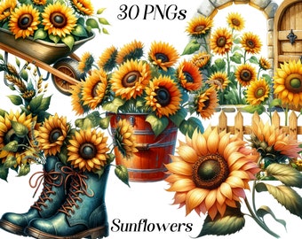 Imágenes prediseñadas de girasoles en acuarela: gráficos PNG florales de verano (descarga digital)