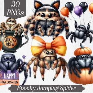 Spooky Halloween Jumping Spider Watercolor Clipart (Digital Download)