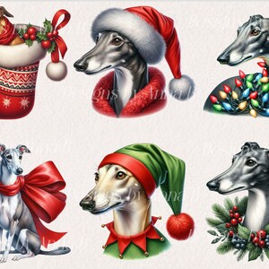 May include: Six digital illustrations of greyhounds wearing festive holiday attire. One greyhound is wearing a Santa hat, another is wearing a green elf hat, another is wearing a red bow, another is in a stocking, another is wrapped in Christmas lights, and another is surrounded by holly.
