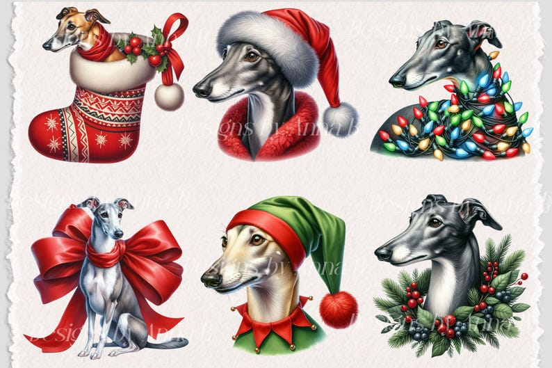 May include: Six digital illustrations of greyhounds wearing festive holiday attire. One greyhound is wearing a Santa hat, another is wearing a green elf hat, another is wearing a red bow, another is in a stocking, another is wrapped in Christmas lights, and another is surrounded by holly.