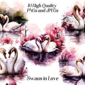 Imágenes prediseñadas de cisne, imágenes prediseñadas de cisnes de acuarela para San Valentín, png, pájaros, animales, escena romántica, amor, naturaleza, descarga digital, imágenes imprimibles