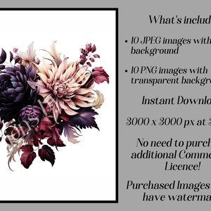 May include: A bouquet of burgundy, pink, and purple flowers with a white background. The flowers are arranged in a loose, natural style. The image is 3000 x 3000 pixels at 300 DPI.