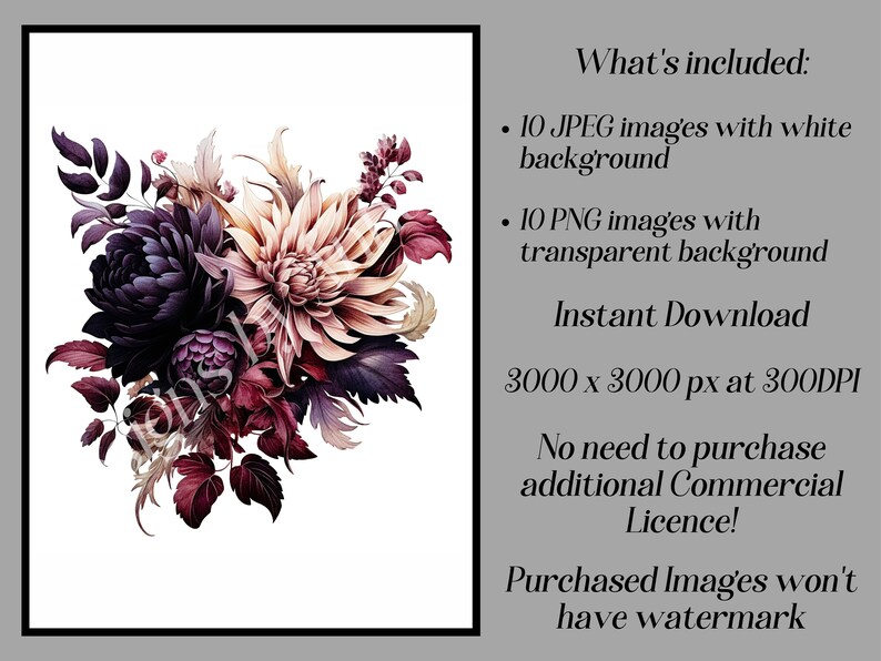 May include: A bouquet of burgundy, pink, and purple flowers with a white background. The flowers are arranged in a loose, natural style. The image is 3000 x 3000 pixels at 300 DPI.