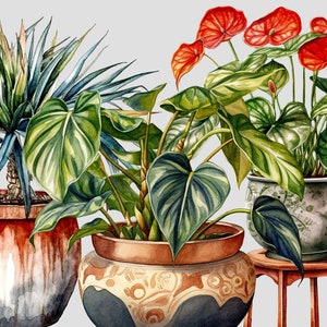 Pu&ograve; includere: Tre piante in vaso con vasi di diversi colori. La pianta a sinistra ha foglie lunghe e verdi ed &egrave; in un vaso marrone con una glassa bianca. La pianta al centro ha foglie grandi e verdi ed &egrave; in un vaso marrone e bianco con un motivo decorativo. La pianta a destra ha fiori rossi ed &egrave; in un vaso bianco con un motivo blu e bianco. La pianta a destra &egrave; su un supporto in legno.