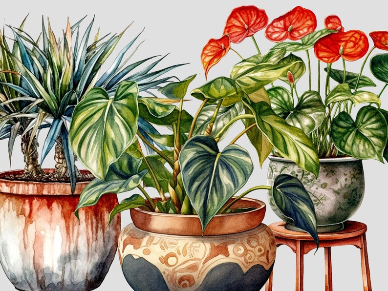 Pu&ograve; includere: Tre piante in vaso con vasi di diversi colori. La pianta a sinistra ha foglie lunghe e verdi ed &egrave; in un vaso marrone con una glassa bianca. La pianta al centro ha foglie grandi e verdi ed &egrave; in un vaso marrone e bianco con un motivo decorativo. La pianta a destra ha fiori rossi ed &egrave; in un vaso bianco con un motivo blu e bianco. La pianta a destra &egrave; su un supporto in legno.