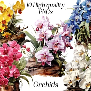 Orchidee clipart, aquarel orchidee illustraties, png, exotische bloemen, bloemen, botanisch, zomer, kamerbloemen, digitale afbeeldingen, afdrukbaar