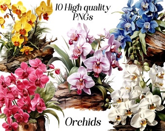 Watercolor Orchid Clipart: Exotic Floral PNG Graphics (Digital Download)