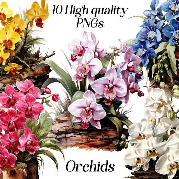 Watercolor orchid clipart, 10 high quality PNG files, floral clip art, exotic tropical flowers, printable graphics