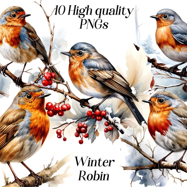 Watercolor Winter Robin clipart, 10 high quality PNG files, christmas clipart, bird illustration, printable graphics