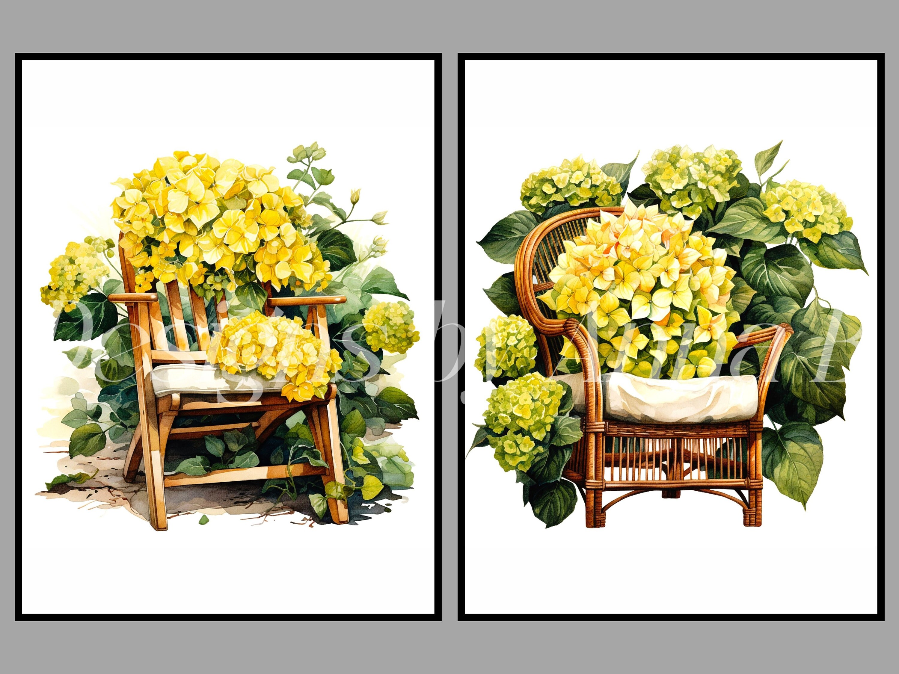 Script Flower Hydrangea Chair Watercolor Chair Clipart: Hydrangea Flowers, Cottagecore Furniture ...
