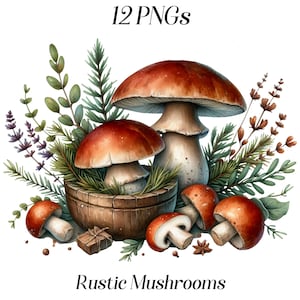 Aquarel rustieke paddestoelen clipart, 12 png-bestanden, voedsel, bos, schimmels, bosplanten, eetbare paddestoelen, keukenkast, koken, printables