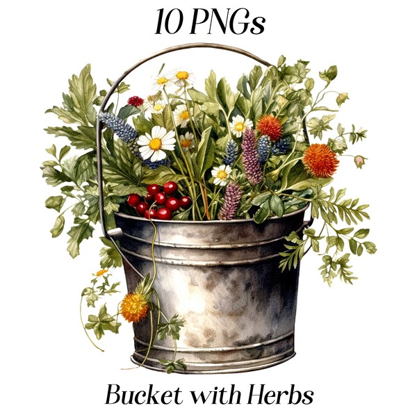 Watercolor herbs in a bucket clipart, 10 high quality JPEG and PNG files, herbal garden, rustic cottagecore decor, greenery clip art, plants