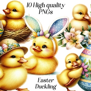 Clipart di anatroccolo di Pasqua, clipart di anatra primaverile ad acquerello, png, uccello carino, anatra da fattoria, uovo di Pasqua, anatroccolo floreale, grafica stampabile