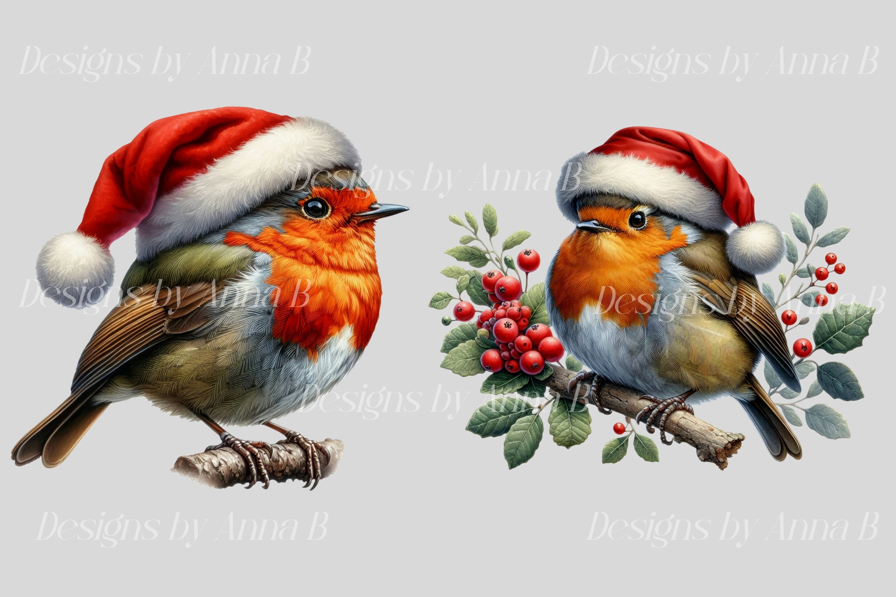 Watercolor Robin With Santa Hat Clipart: Christmas PNG Graphics (12 ...