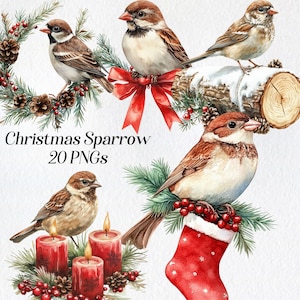 Clipart di uccelli di Natale, clipart di passero ad acquerello, png, passero festivo, uccelli invernali, download digitale, animali di Natale, commerciale