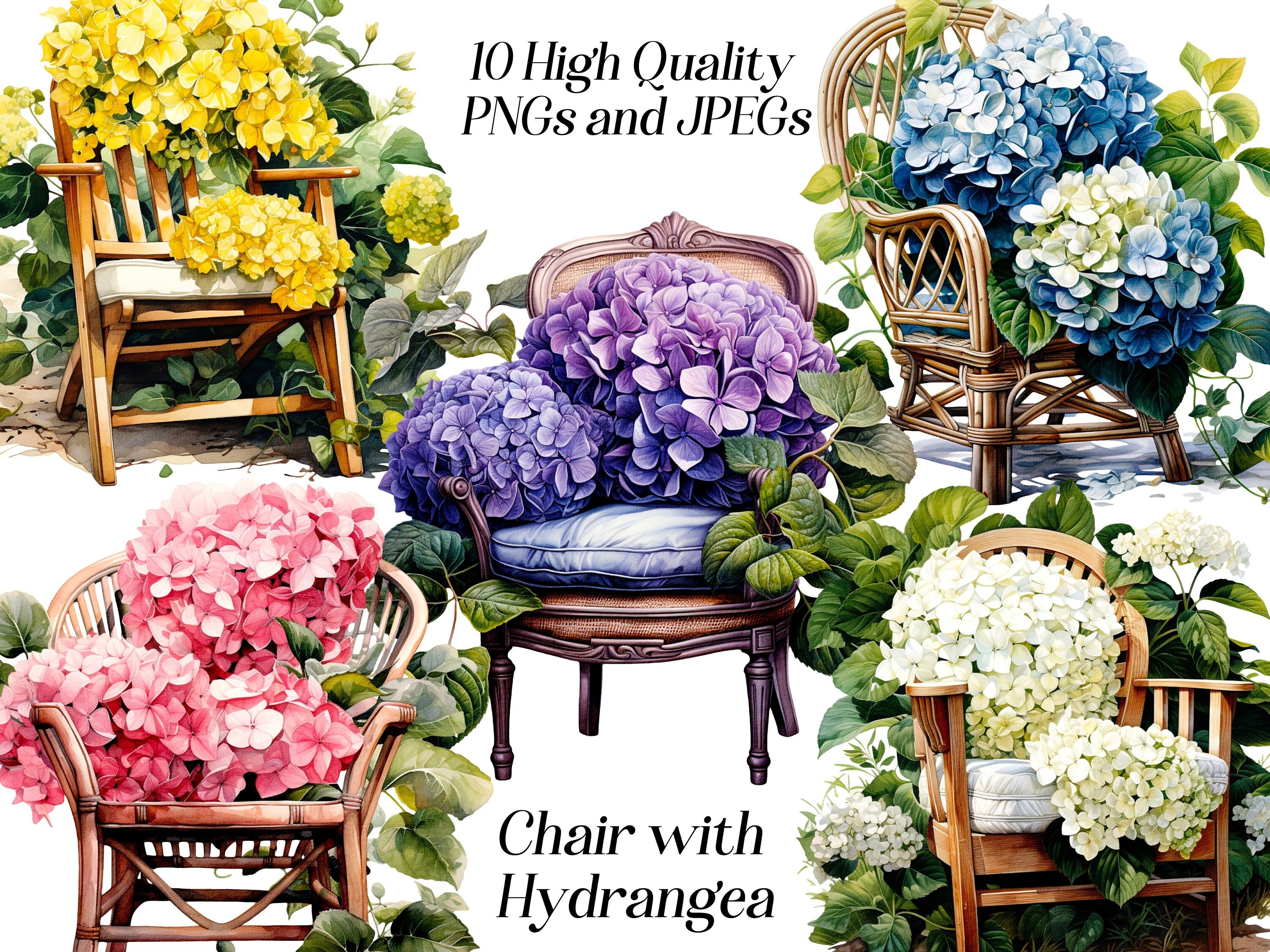 Script Flower Hydrangea Chair Watercolor Chair Clipart: Hydrangea Flowers, Cottagecore Furniture ...