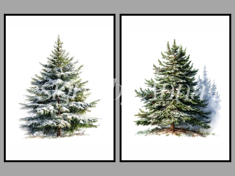 Peut inclure: Deux aquarelles repr&eacute;sentant des sapins. L'arbre de gauche est recouvert de neige. L'arbre de droite est dans un d&eacute;cor de for&ecirc;t enneig&eacute;e.
