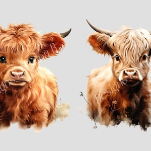 May include: Two Highland cattle calves, one with a reddish-brown coat and the other with a light brown coat, are looking directly at the camera. Both calves have long, fluffy fur and are standing in a field of grass.