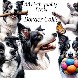 Watercolor border collie clipart, 33 high quality PNG files, dog clipart, pet clip art, cute puppy illustration, dog graphics, printables