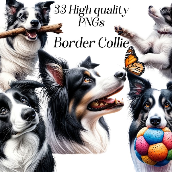 Aquarell Border Collie Clipart, 33 hochwertige PNG-Dateien, Hunde-Clipart, Haustier-ClipArt, niedliche Welpen-Illustration, Hundegrafiken, Ausdrucke