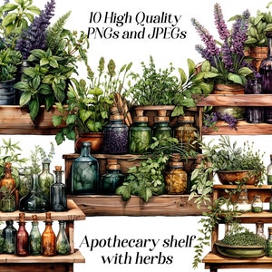 Boticário em aquarela com clipart de ervas, 10 arquivos JPEG e PNG de alta qualidade, ervas medicinais, ervas culinárias, clipart de alimentos, remédios fitoterápicos