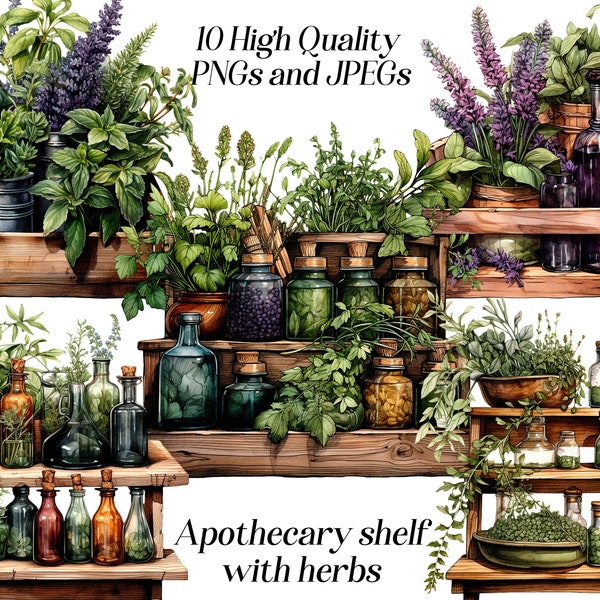 Watercolor apothecary with herbs clipart, 10 high quality JPEG and PNG files, medicinal herbs, culinary herbs, food clip art, herbal meds