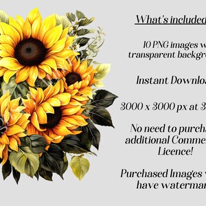 May include: A digital illustration of a bouquet of sunflowers with green leaves. The sunflowers are yellow with brown centers. The image is 3000 x 3000 pixels at 300 DPI.