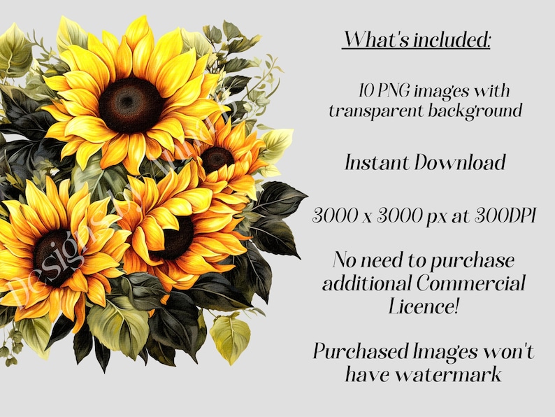 May include: A digital illustration of a bouquet of sunflowers with green leaves. The sunflowers are yellow with brown centers. The image is 3000 x 3000 pixels at 300 DPI.