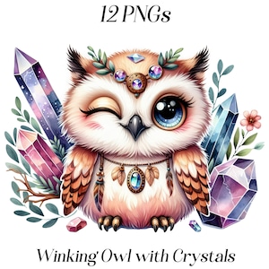 Può includere: Un'illustrazione di un gufo che strizza l'occhio con una corona di cristalli e piume. Il gufo è circondato da cristalli colorati e vegetazione.