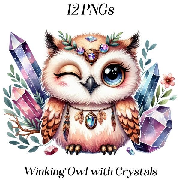 Watercolor Winking Owl with Crystals clipart, 12 PNG files, cute owl, bird clip art, boho, bohemian, spiritual, mystic, quartz, printables