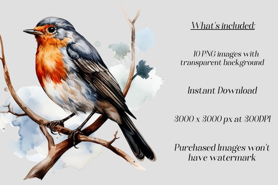 水彩画　鳥　「密林の宝石」　〜溢れる生命力〜 アートパネル モダン 動物 生き物 鳥 バード 水彩画 水彩 絵の具