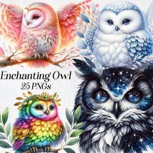 Clipart di gufo incantevole, illustrazione di gufo, creature del bosco, gufo magico, clipart di uccello, clipart fantasy, diario spazzatura, creazione di biglietti, digitale