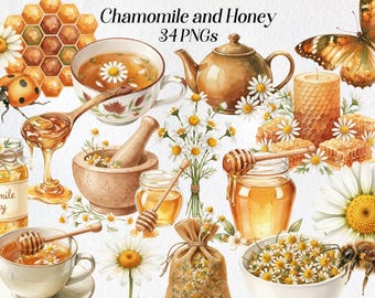 Clipart de aquarela de camomila e mel: PNGs botânicos vintage (download digital)