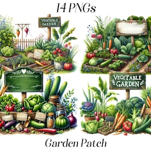 Clipart aquarelle jardin patch, 14 fichiers PNG, légumes, campagne, marché de producteurs, aliments biologiques, culture de légumes, vie à la campagne, images