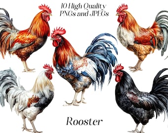 Watercolor rooster clipart, 10 high quality JPEG and PNG files, farm animals, bird, cockerel illustration, printable graphics