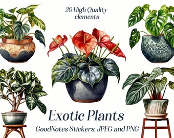 Clipart aquarel potplanten: exotisch groen png, stickers GoodNotes (digitale download)