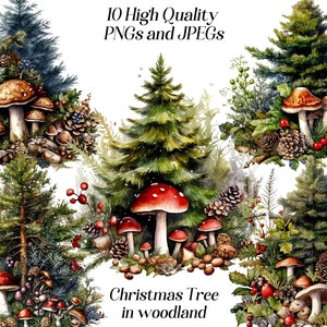 Kerstboom clipart, aquarel bos gebladerte, png, bos, paddenstoelen, groen clipart, kaarten maken, scrapbooking, illustratie