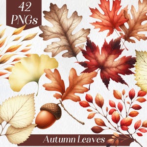 Clipart di foglie autunnali ad acquerello, clipart autunnale, foglia d'acero, illustrazione di foglie, clipart della natura, elementi botanici, stagione autunnale, ghiande
