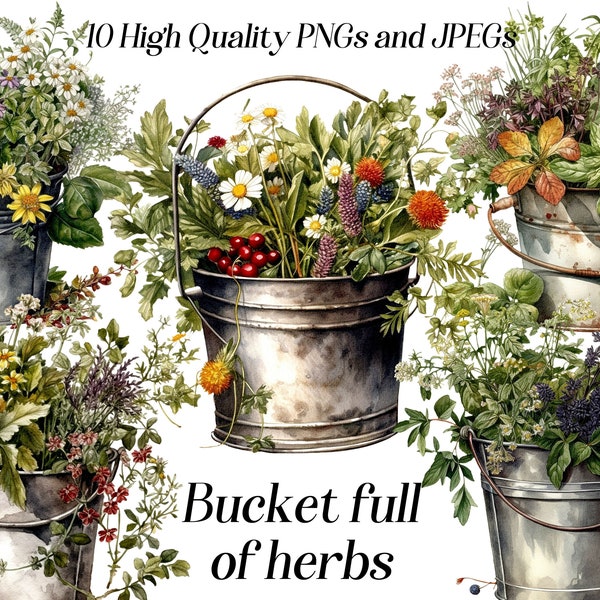 Watercolor herbs in a bucket clipart, 10 high quality JPEG and PNG files, herbal garden, rustic cottagecore decor, greenery clip art, plants