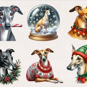 May include: Six illustrations of greyhounds in various festive settings. One greyhound is wearing a red and white jumper, another is wearing a green and red elf hat, another is in a snow globe, and three are wearing festive collars.