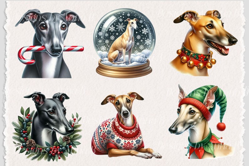 May include: Six illustrations of greyhounds in various festive settings. One greyhound is wearing a red and white jumper, another is wearing a green and red elf hat, another is in a snow globe, and three are wearing festive collars.